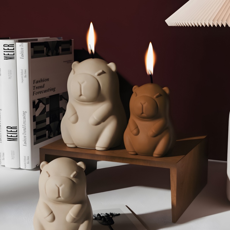 Capybara Pudding cuisson moule - Candle Making Tutorial avis et prix